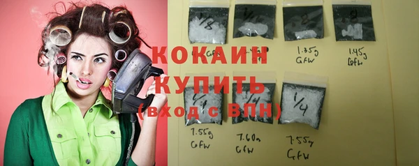 хмурый Богородск