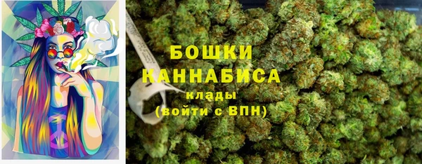 2c-b Богородицк