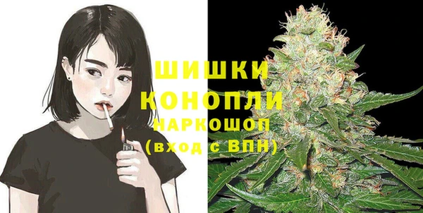 2c-b Богородицк