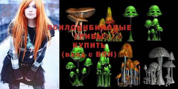 2c-b Богородицк