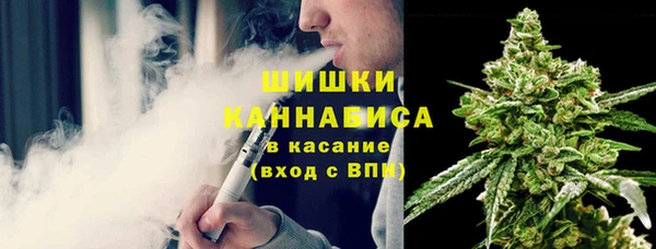 хмурый Богородск