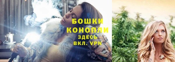 2c-b Богородицк